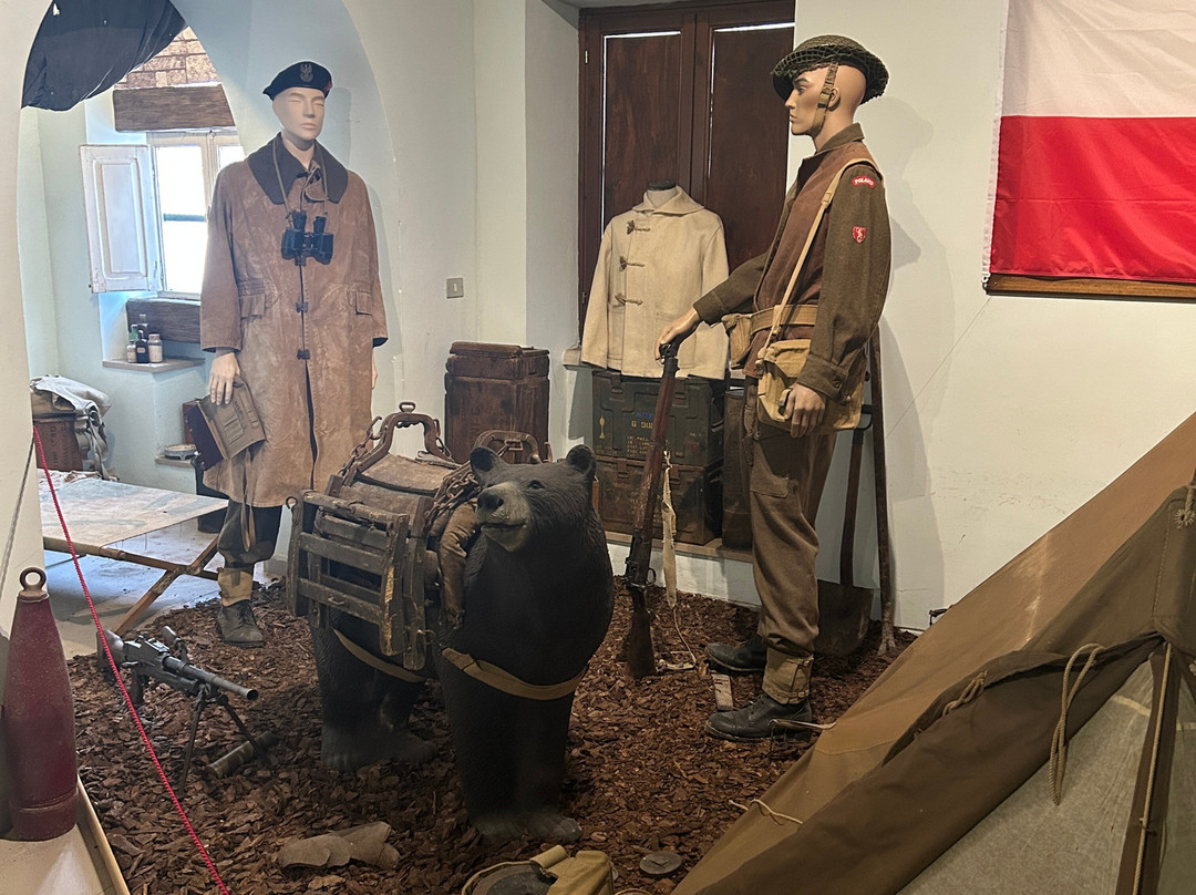 WinterLine Venafro - World War II Museum-Venafro必去景点