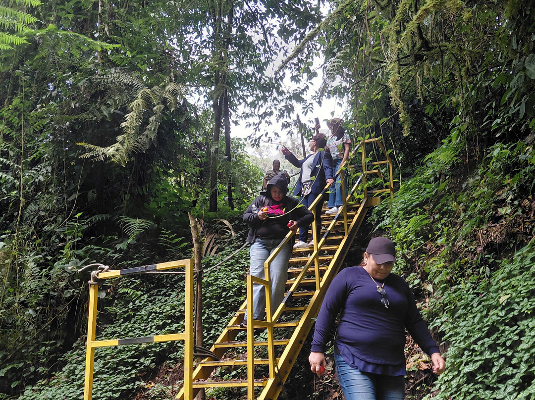 Bajo Mono Camping Site Cascada El Tatica-波魁特必去景点