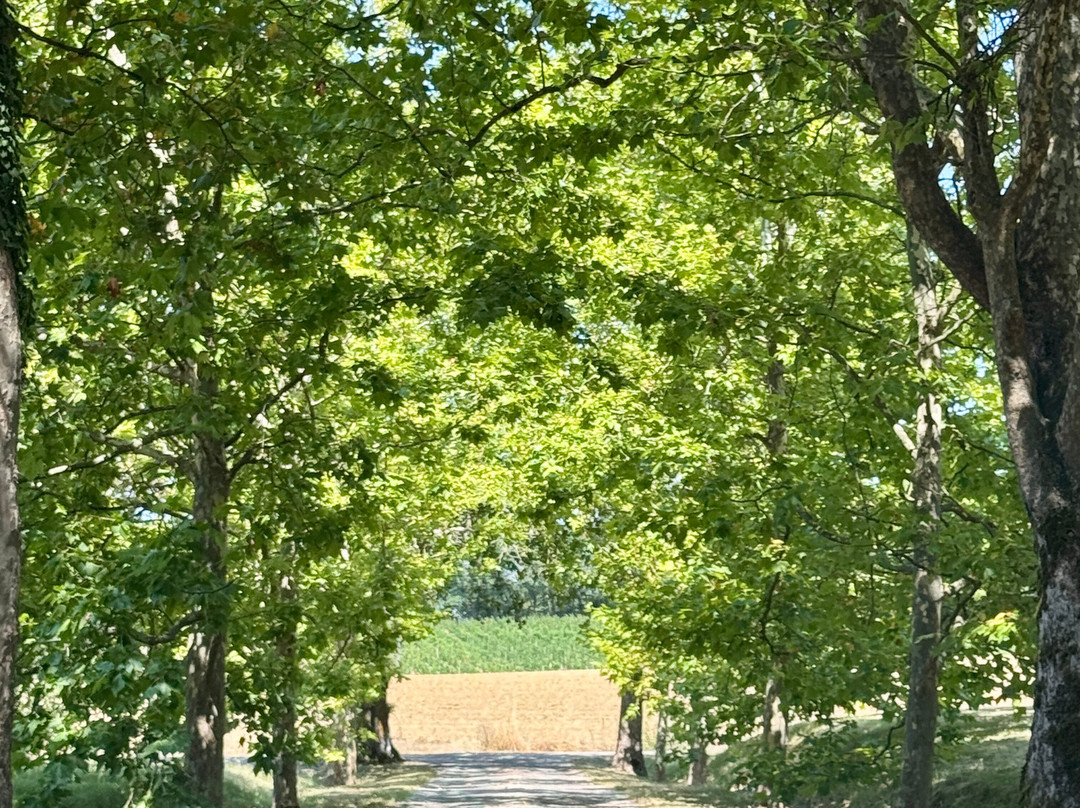 Domaine Du Boiron-Astaffort必去景点