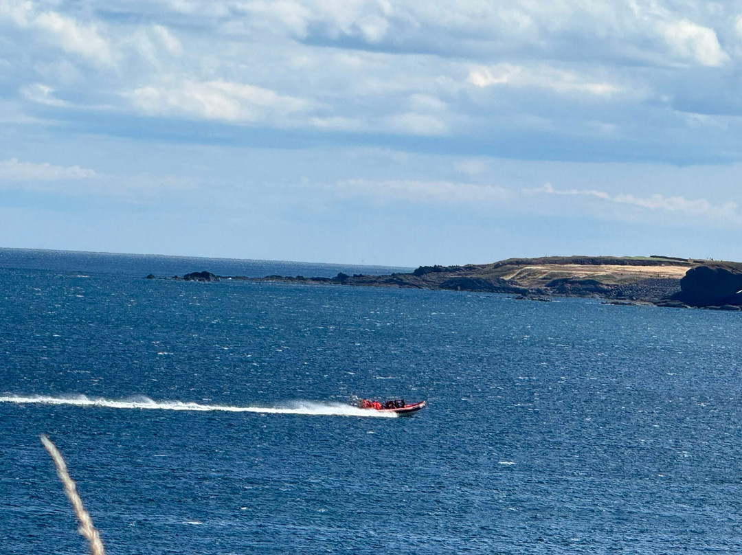 Eyemouth Rib Trips-Eyemouth必去景点