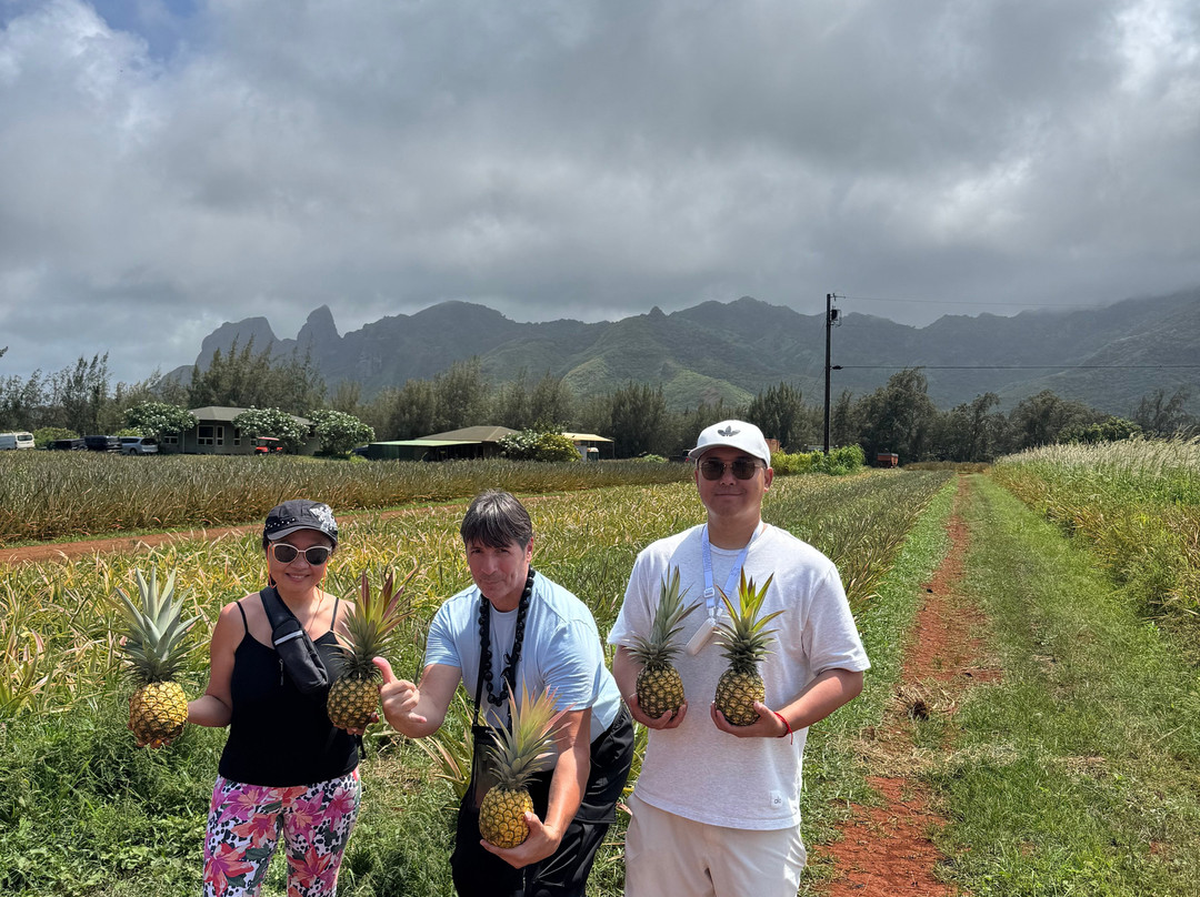Sugarloaf Pineapple Farm-基拉韦厄必去景点