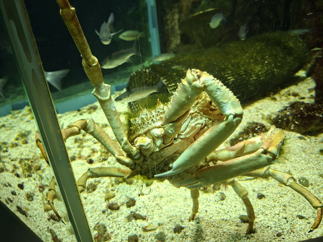 Aquarium de Biarritz-比亚里茨必去景点
