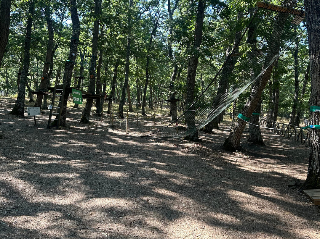 Parco Avventura-Albano di Lucania必去景点