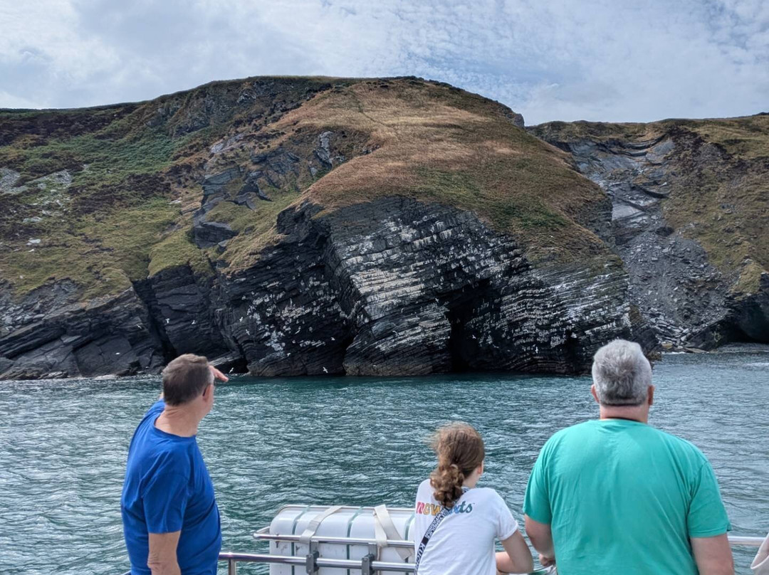 Dolphin Spotting Boat Trips (by New Quay Boat Trips)-纽基必去景点