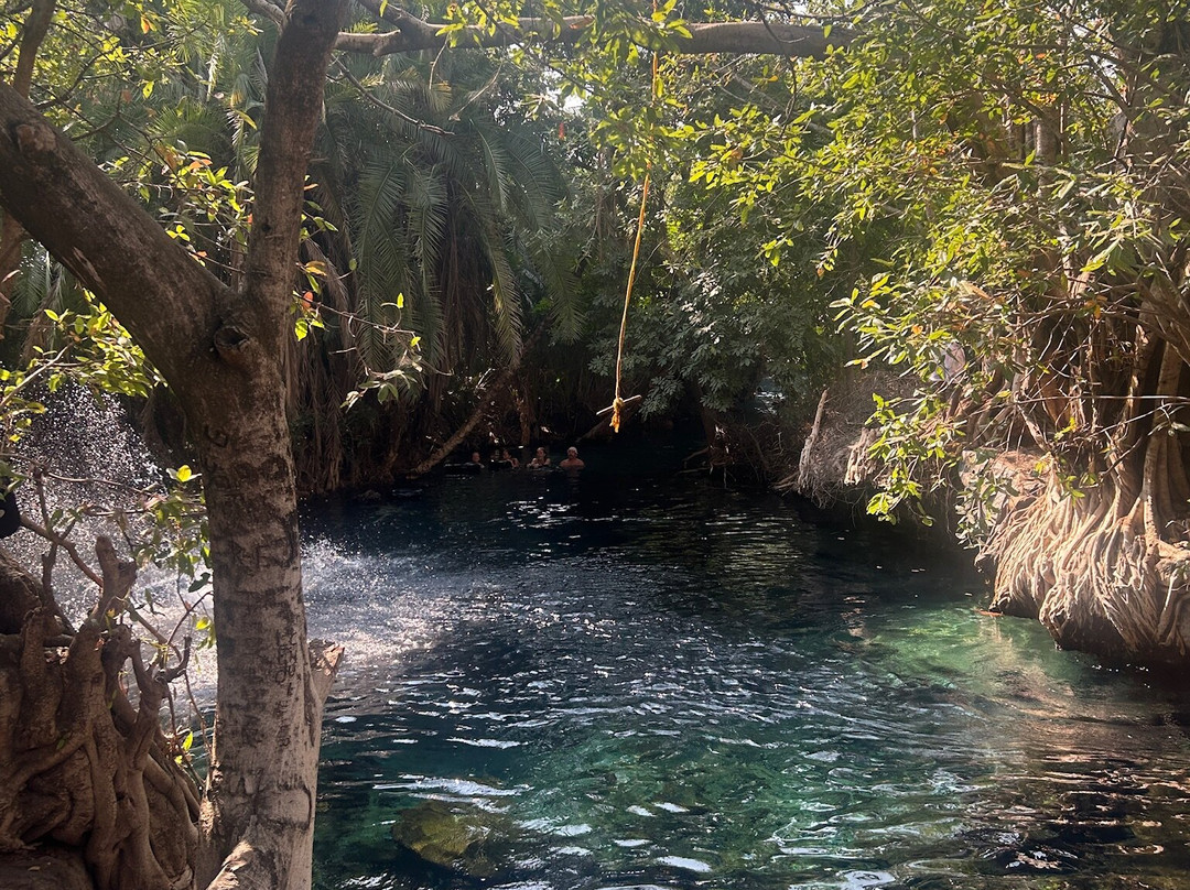 Kikuletwa Hotsprings-莫西必去景点