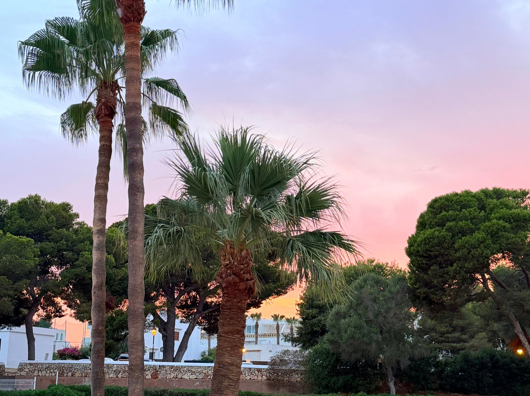 AluaSoul Mallorca Resort - Adults Only主图