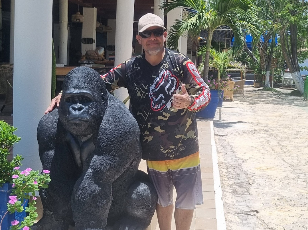 Hotel Isla Palma Reserva Natural主图