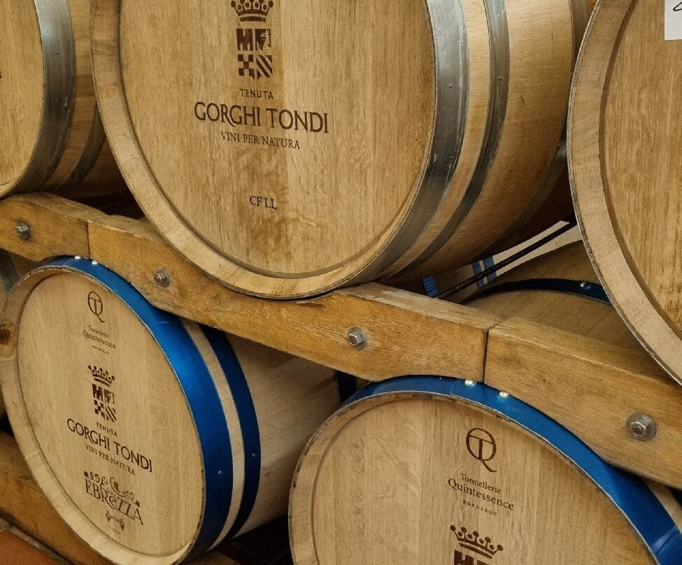 Tenuta Tondi Gorghi-马扎拉－德尔瓦洛必去景点