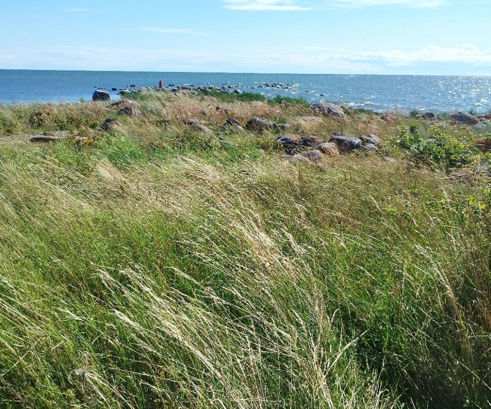 Kihnu Island-Kihnu必去景点