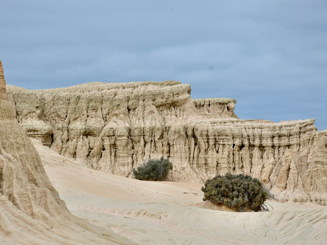 Discover Mildura - Day Tours-米尔杜拉必去景点