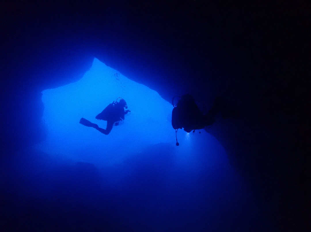 Capo Galera Diving Center-阿尔盖罗必去景点