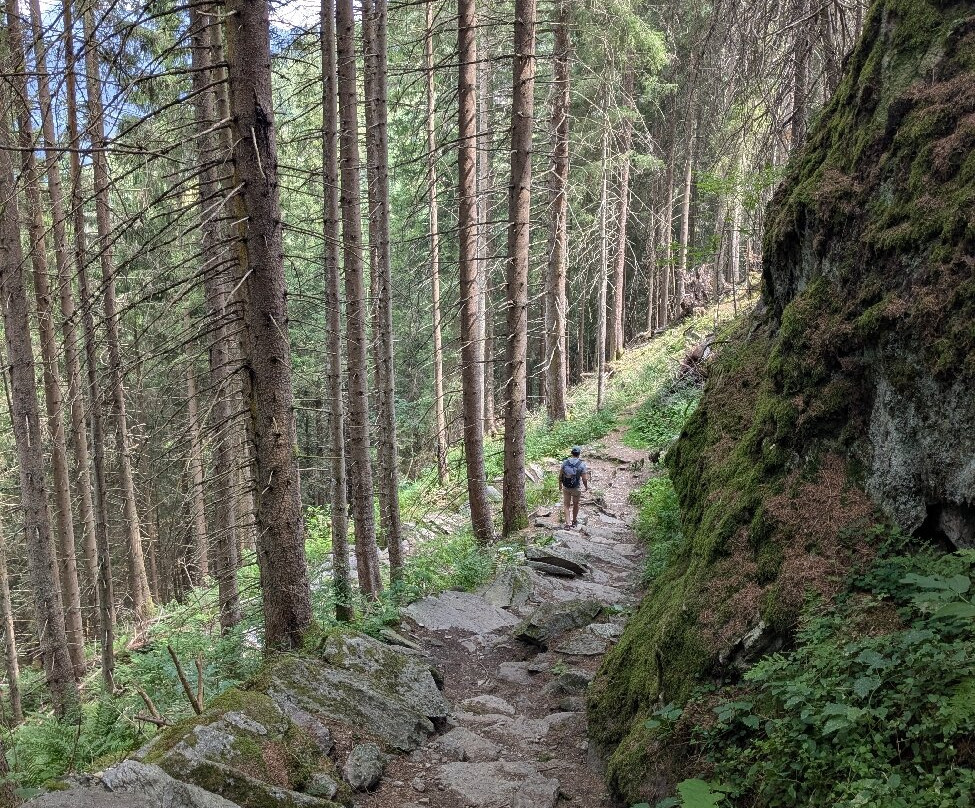 Krimml Falls (Krimmler Wasserfalle)-克林莫必去景点