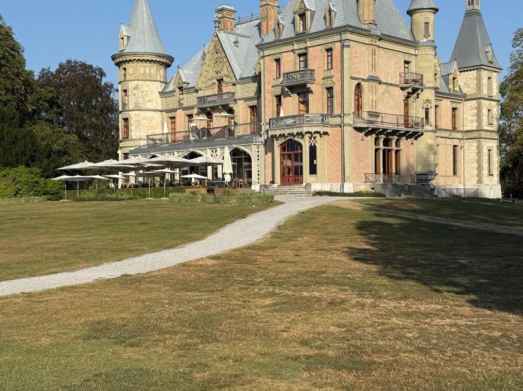 Schloss Schadau - Swiss Historic Hotel主图