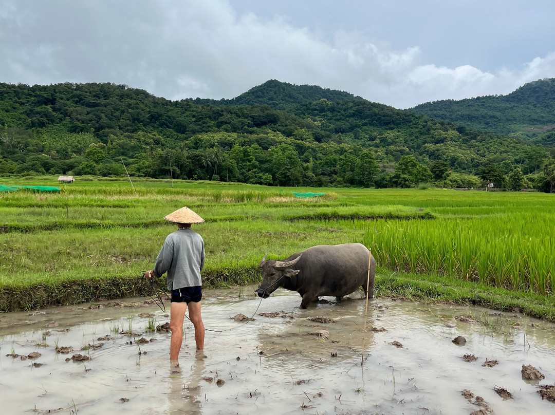 Living Land农场体验之旅-琅勃拉邦必去景点