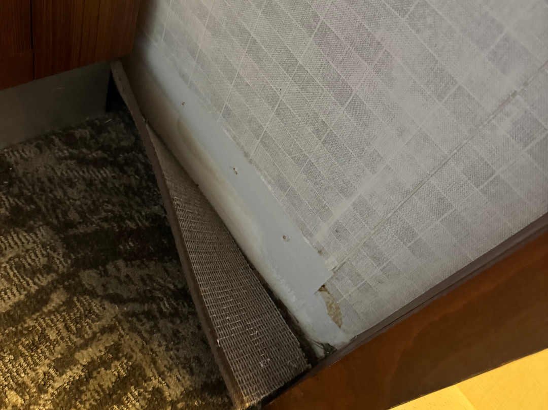 哈里斯堡赫尔希万豪SpringHill酒店主图
