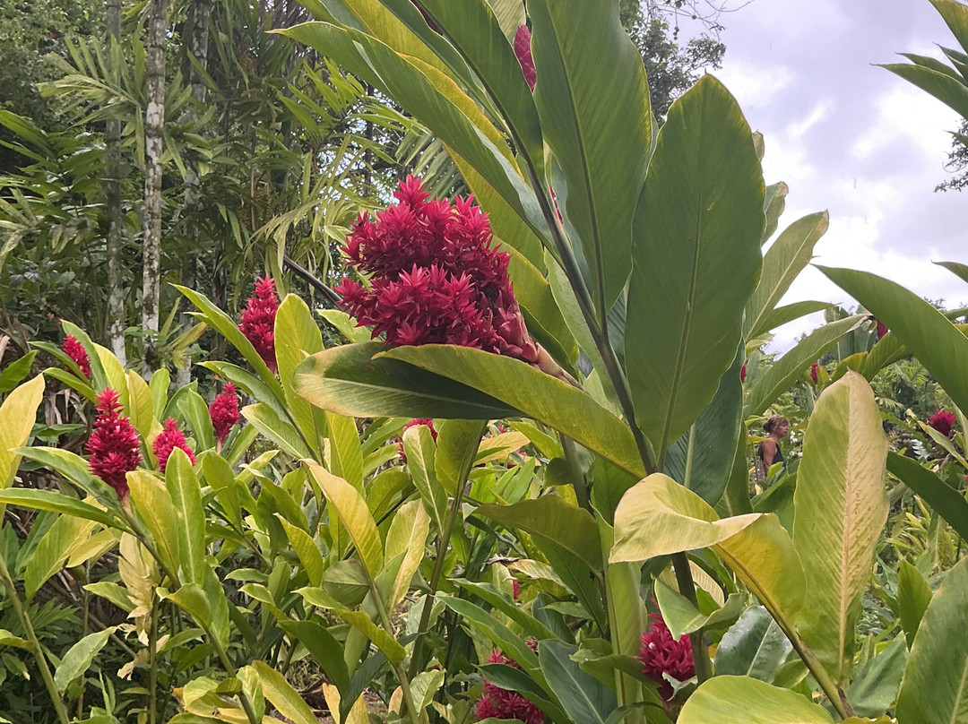 Jardin Botanique de Valombreuse-Petit-Bourg必去景点