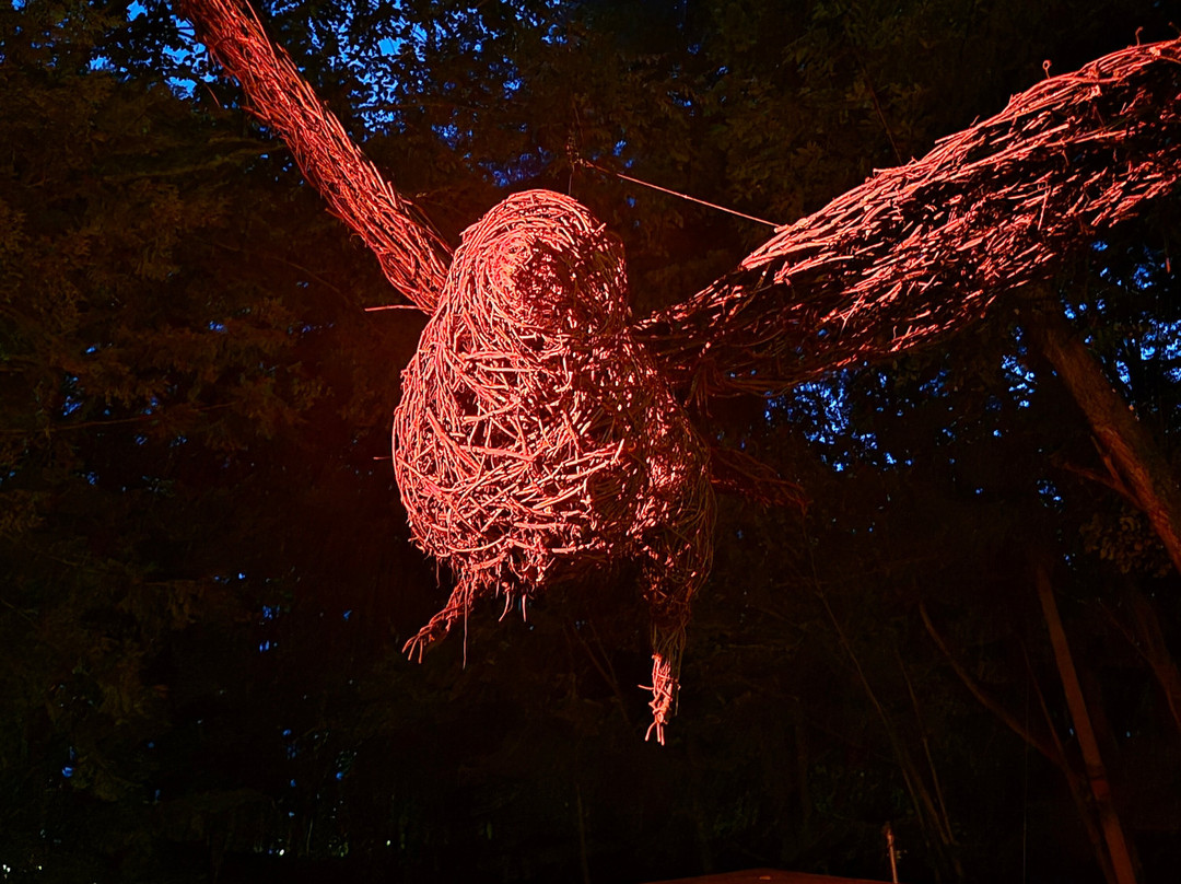 Foresta Lumina-Coaticook必去景点