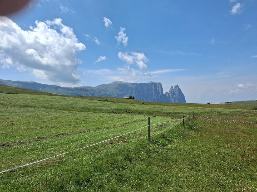 Alpe di Siusi-Alpe di Siusi必去景点