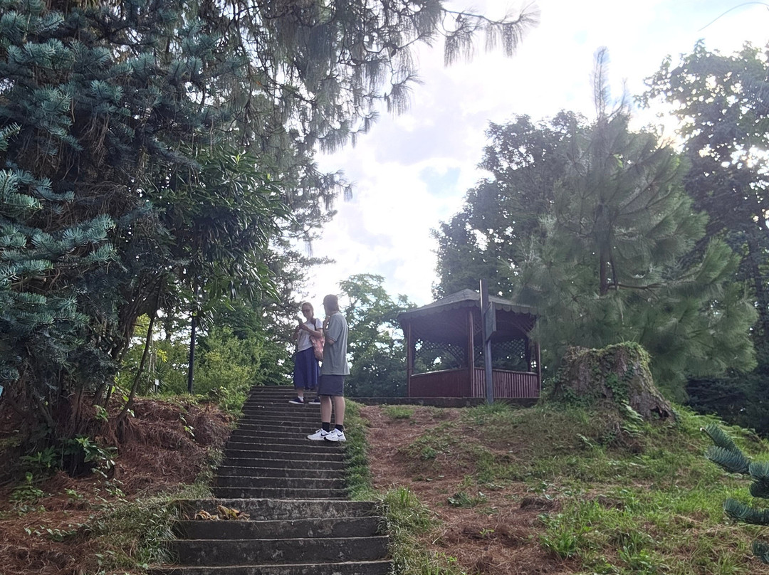 Batumi Botanical Gardens-巴统必去景点