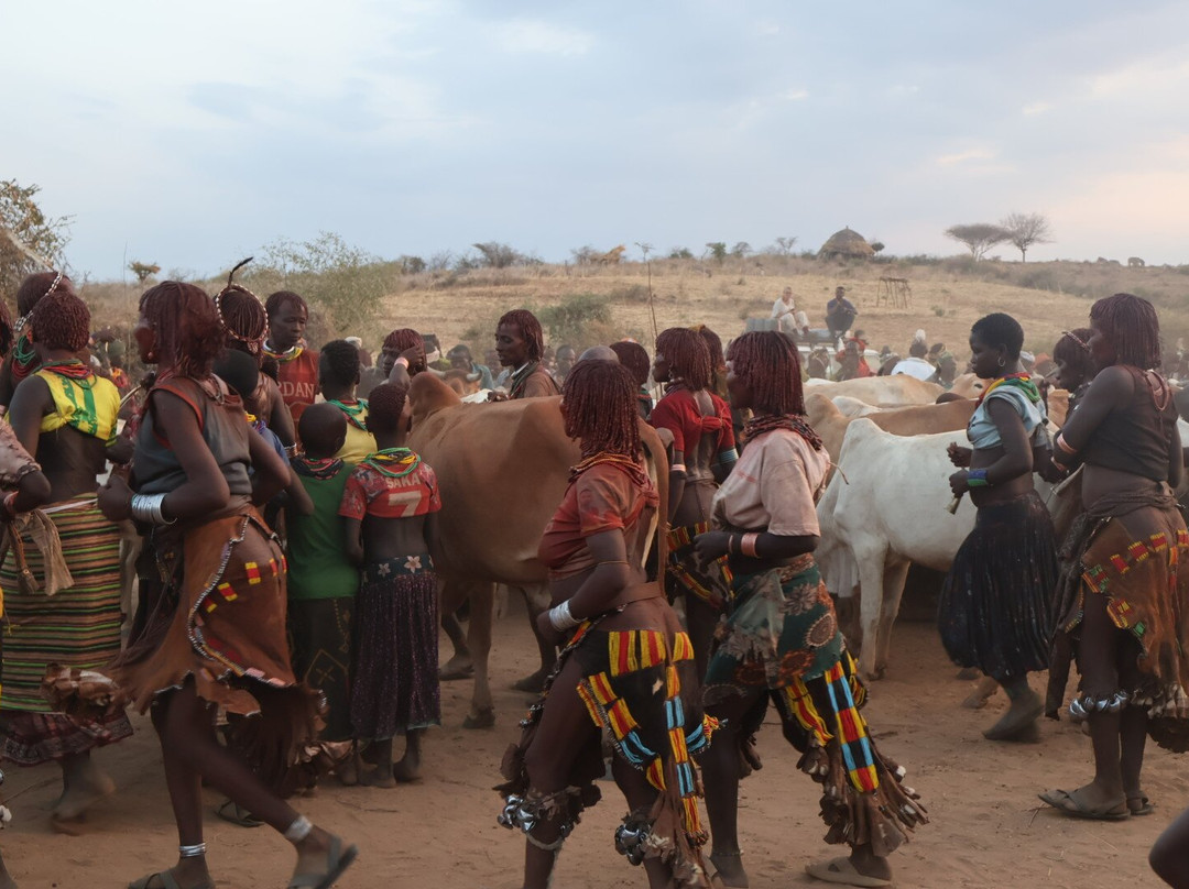 Asu Ethiopian Tours-Jinka必去景点