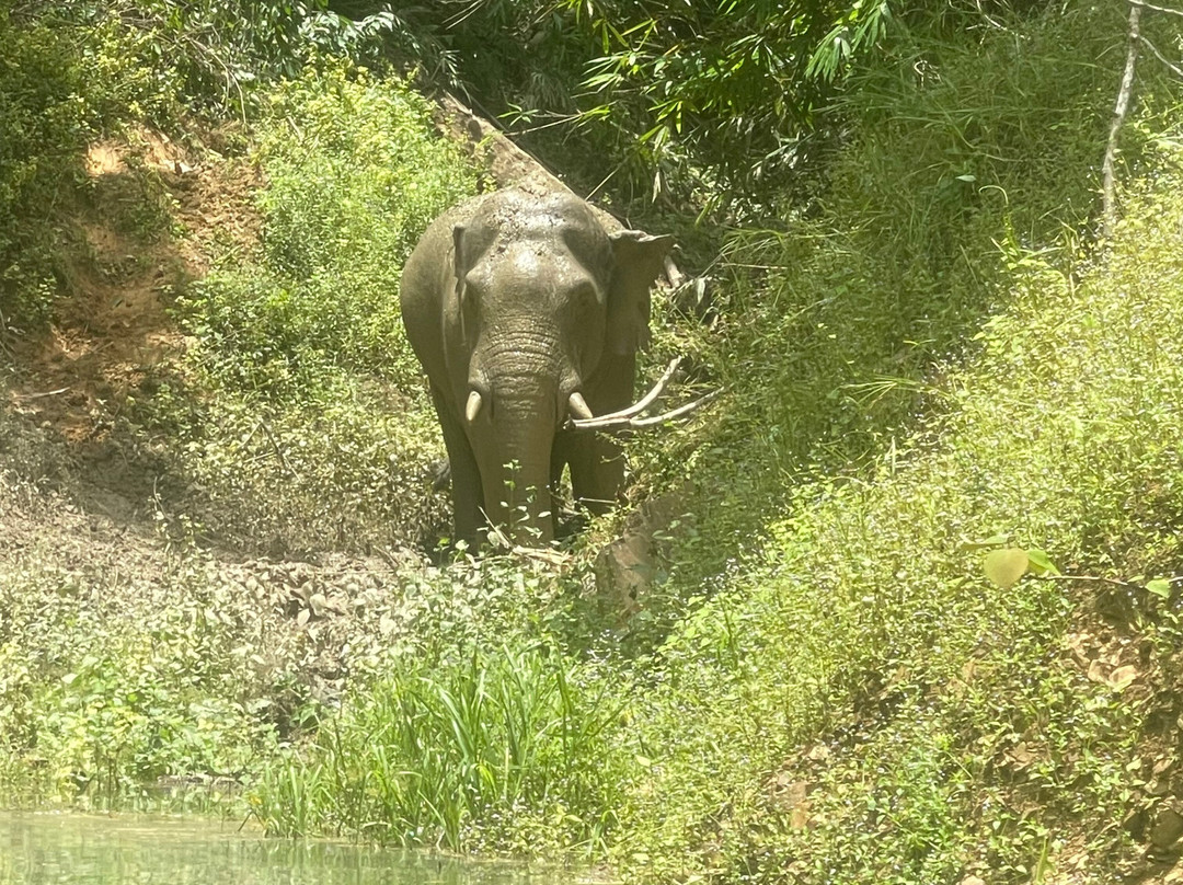 Elephant Hills主图