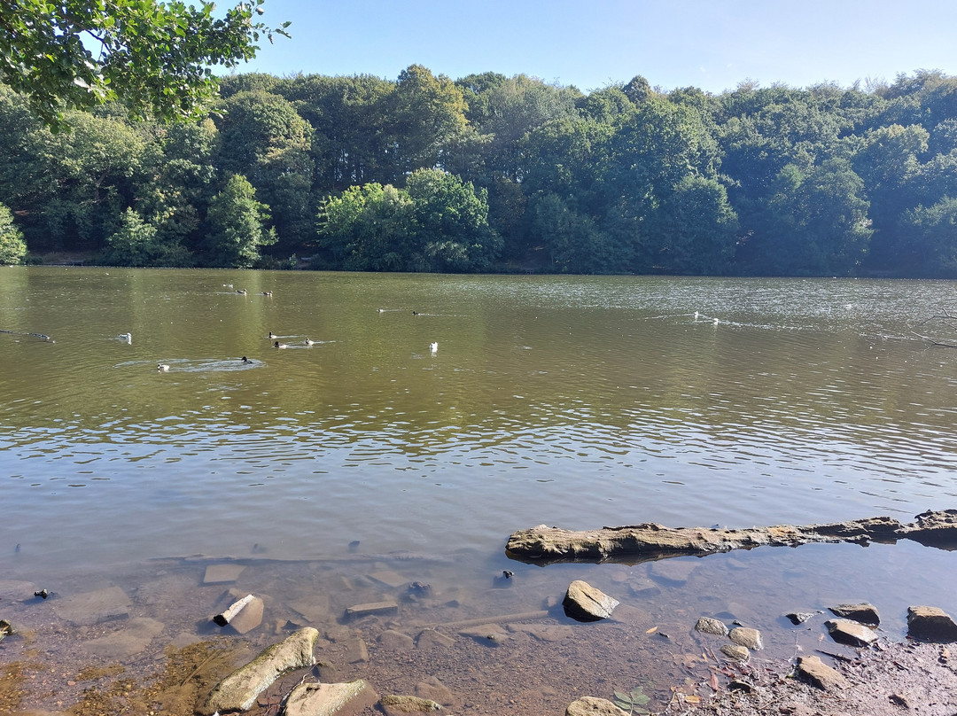 Newmillerdam Country Park-韦克菲尔德必去景点