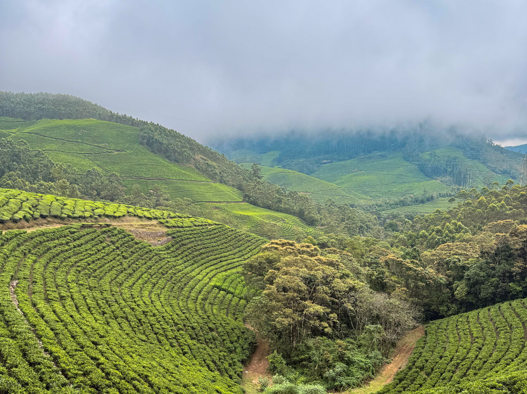 Rajamalai (Eravikulam) National Park-慕那尔必去景点