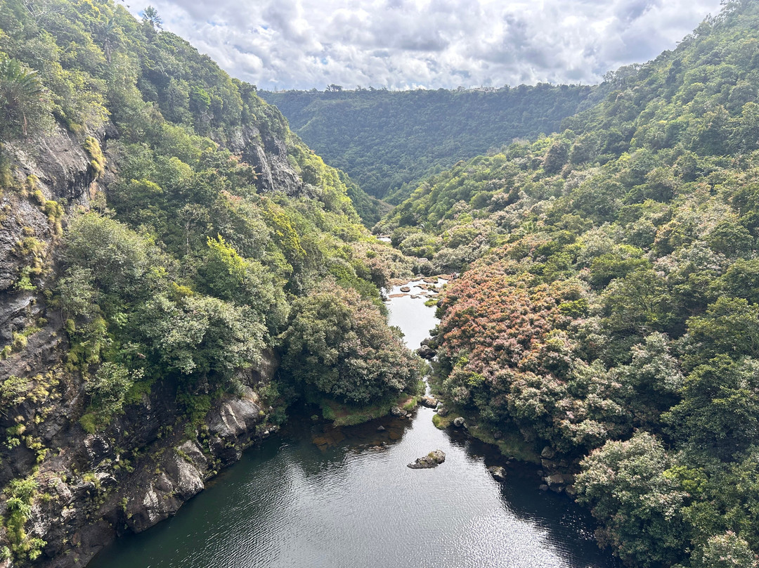 Enfants Nature Mauritius-Black River必去景点