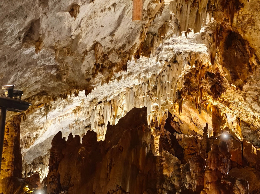 Cueva De Pozalagua-Valle de Carranza必去景点