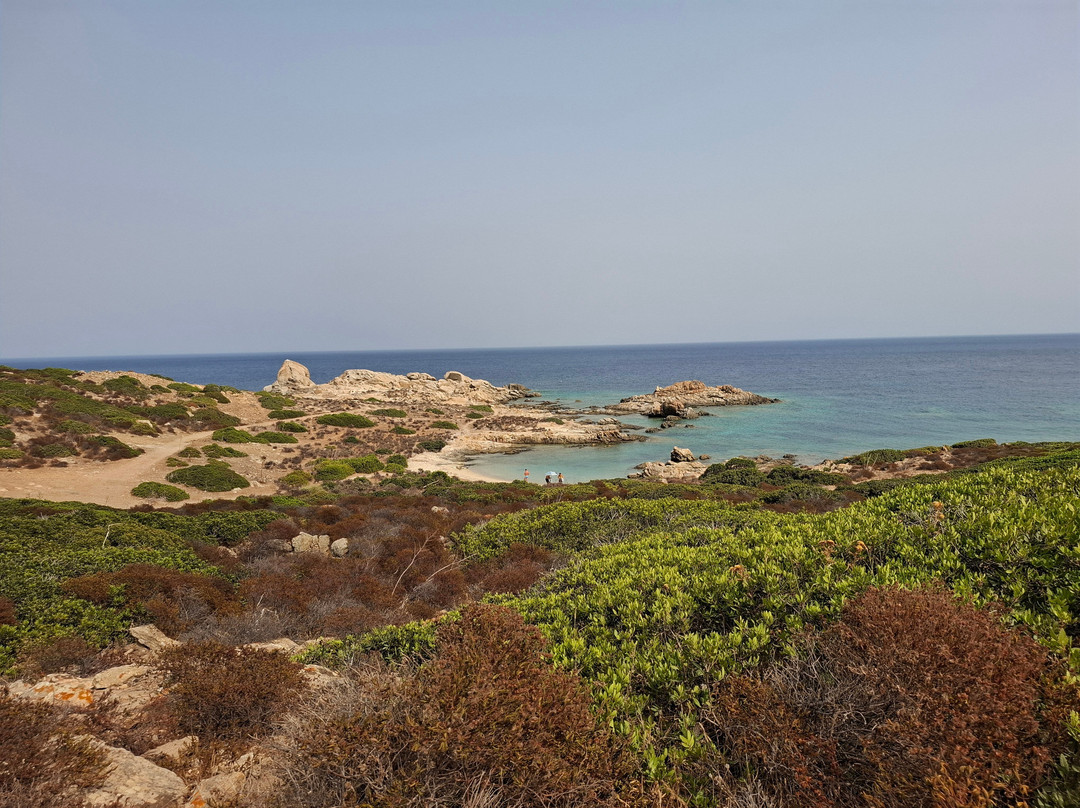 Wild Asinara Park-萨萨里省必去景点