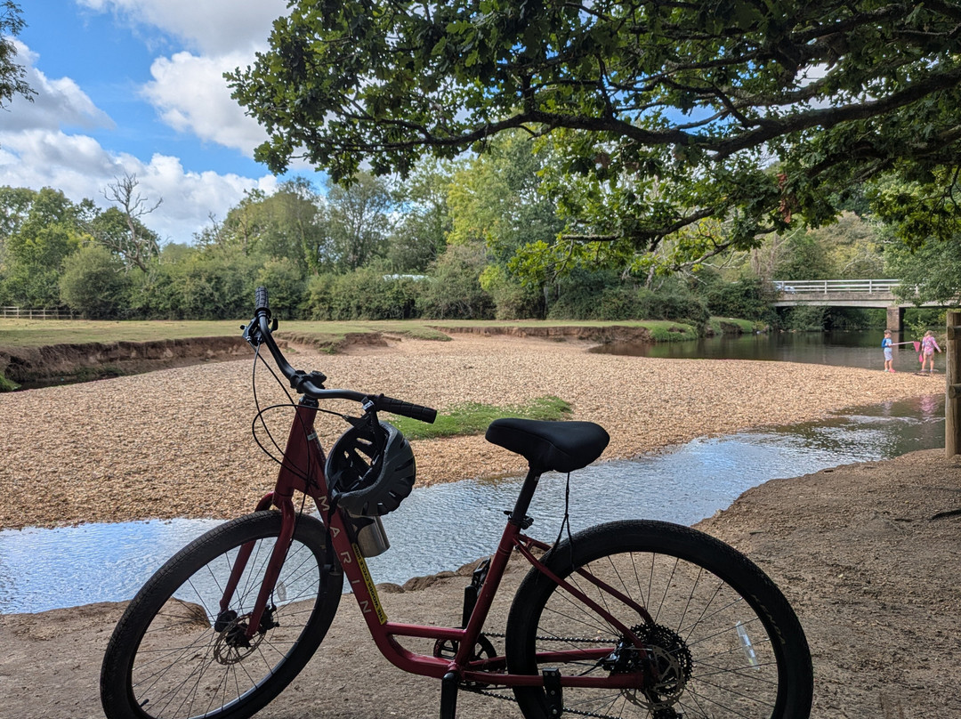 The Woods Cyclery-林德赫斯特必去景点