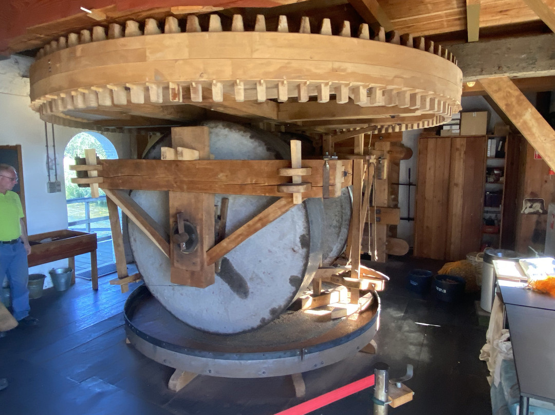 De Kilsdonkse Molen-Heeswijk-Dinther必去景点