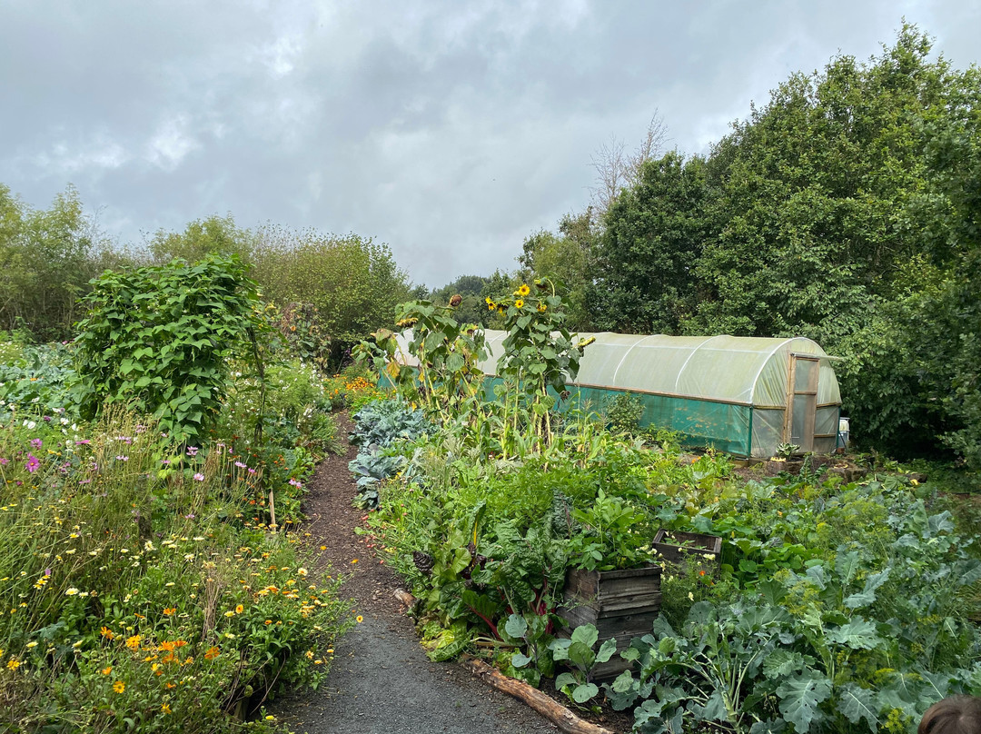 Quince Honey Farm-South Molton必去景点