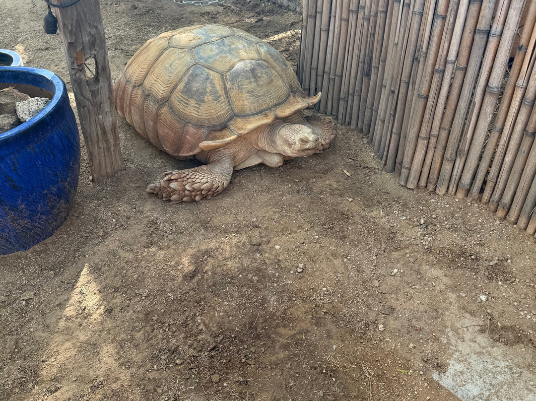Southwest Wildlife Conservation Center-斯科茨代尔必去景点