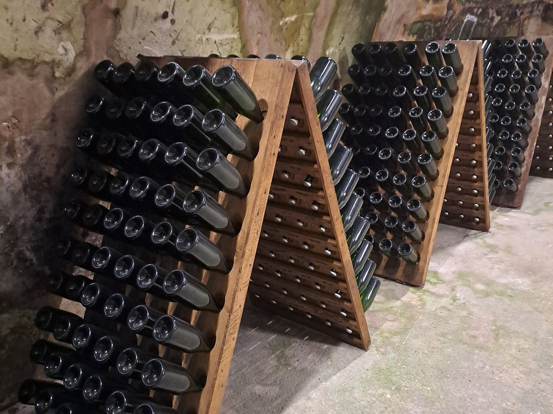 Vranken Pommery-兰斯必去景点