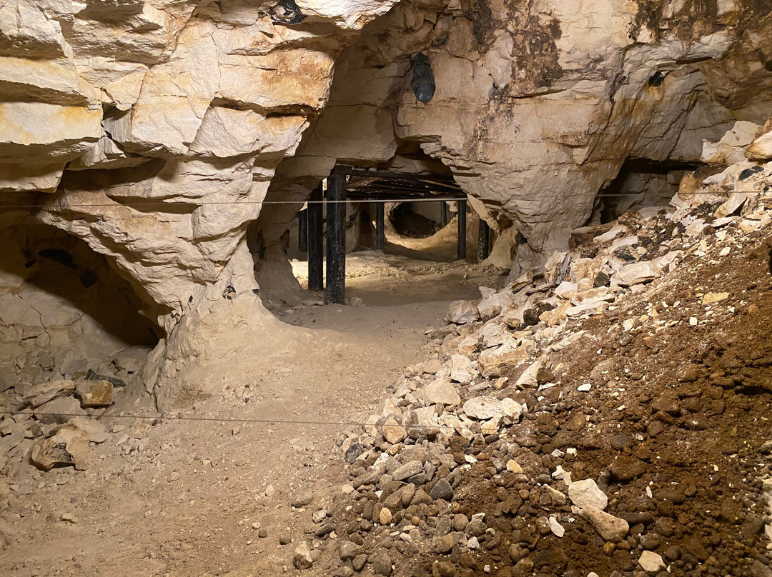 Prehistoric Flint Mines at Rijckholt-St.Geertruid-Rijckholt必去景点