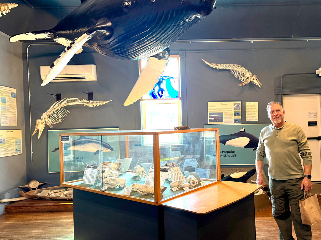 The Whale Museum-星期五港湾必去景点
