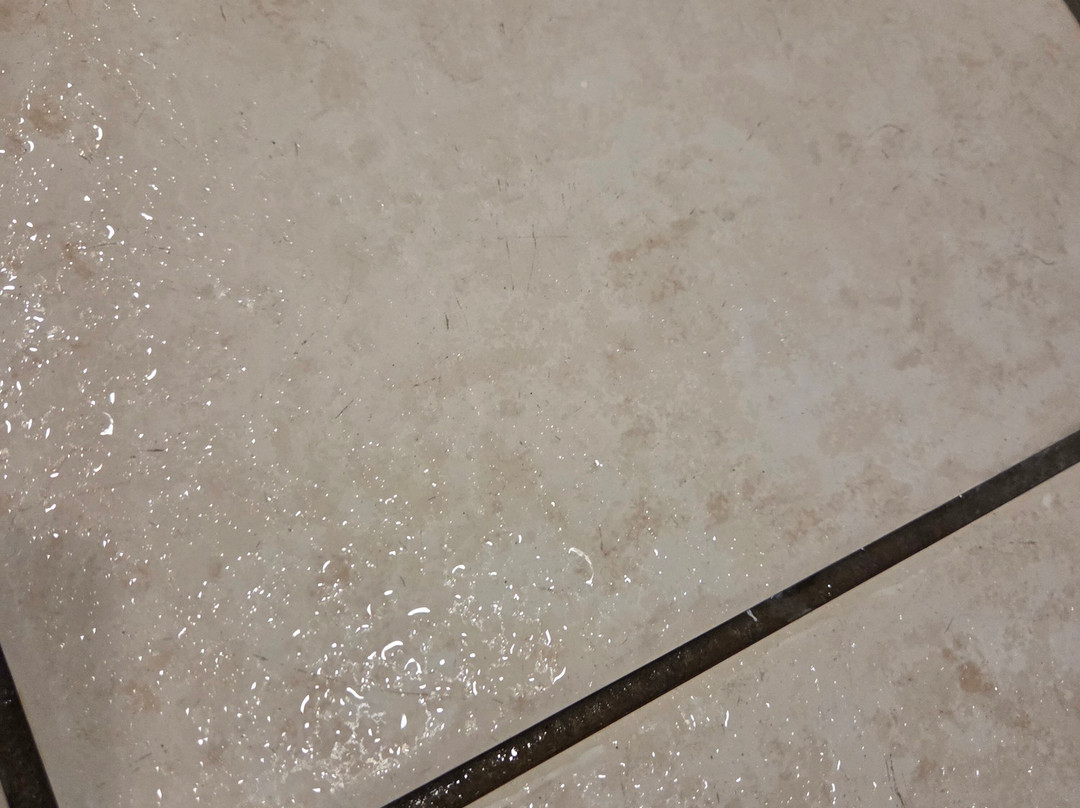 福特莱萨波旁酒店主图