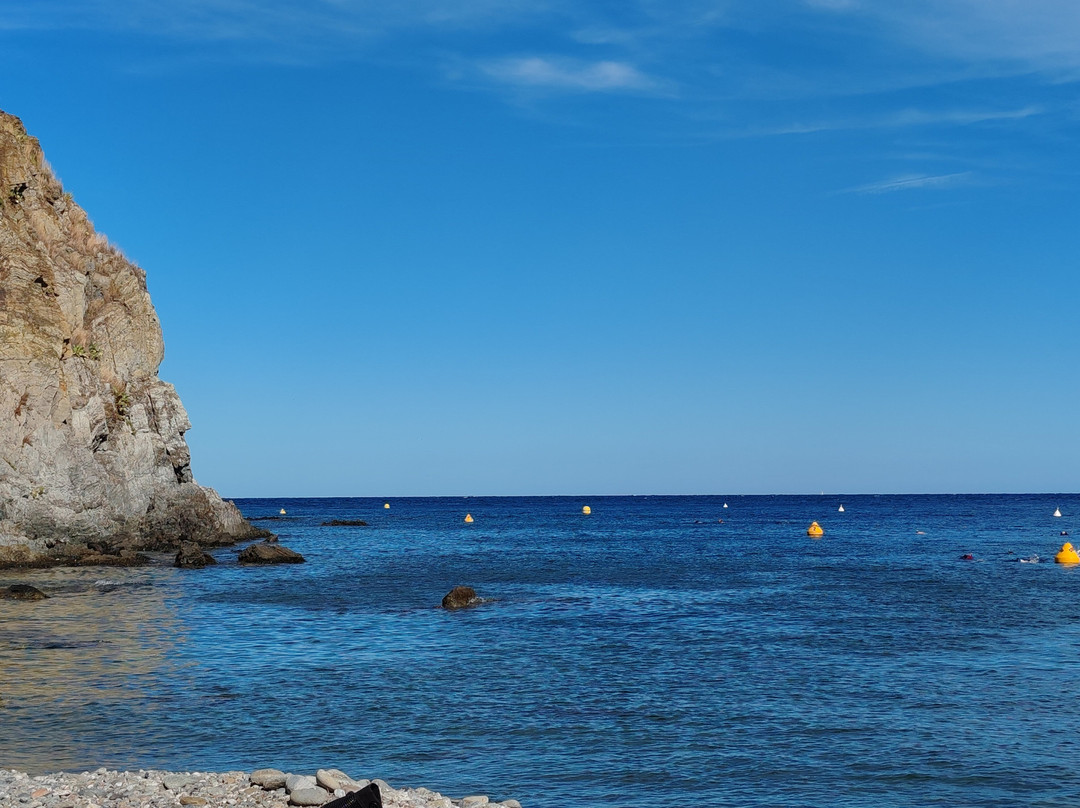Le Sentier Sous-Marin de Cerbère-Banyuls-Cerbere必去景点