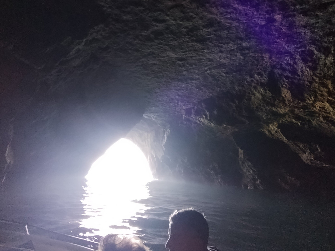Aurora Boat Trips-阿玛考德佩拉必去景点