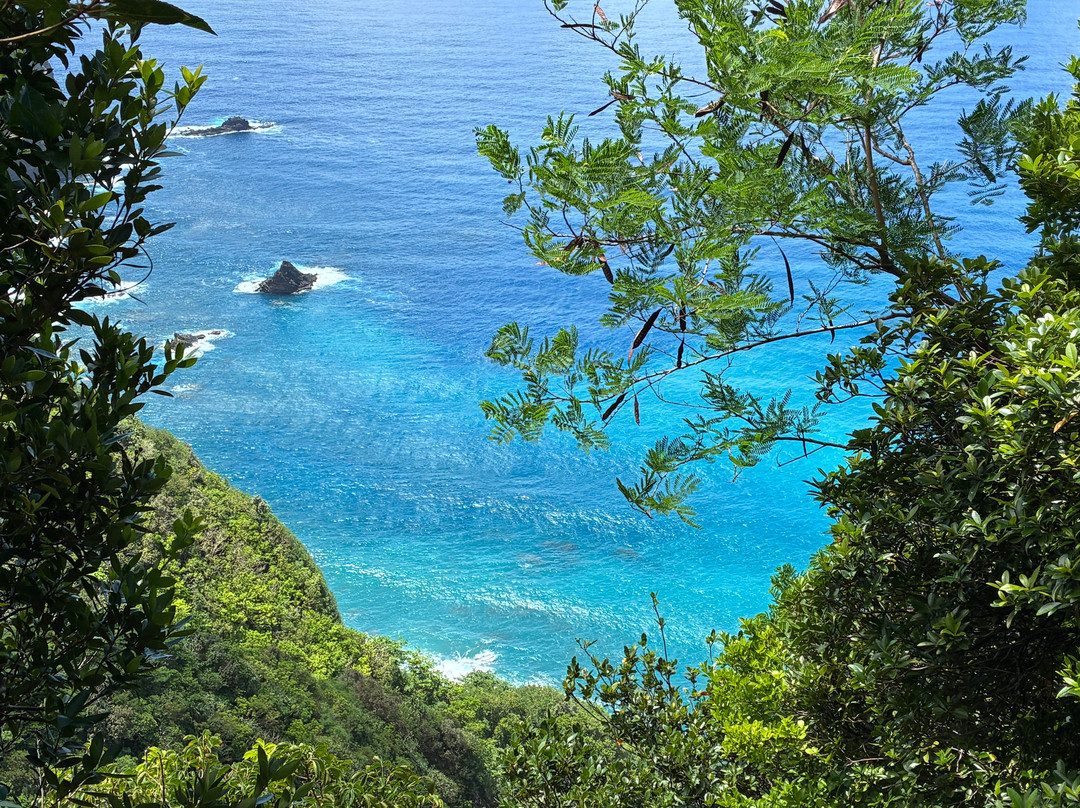 Hahajima Island-小笠原村必去景点