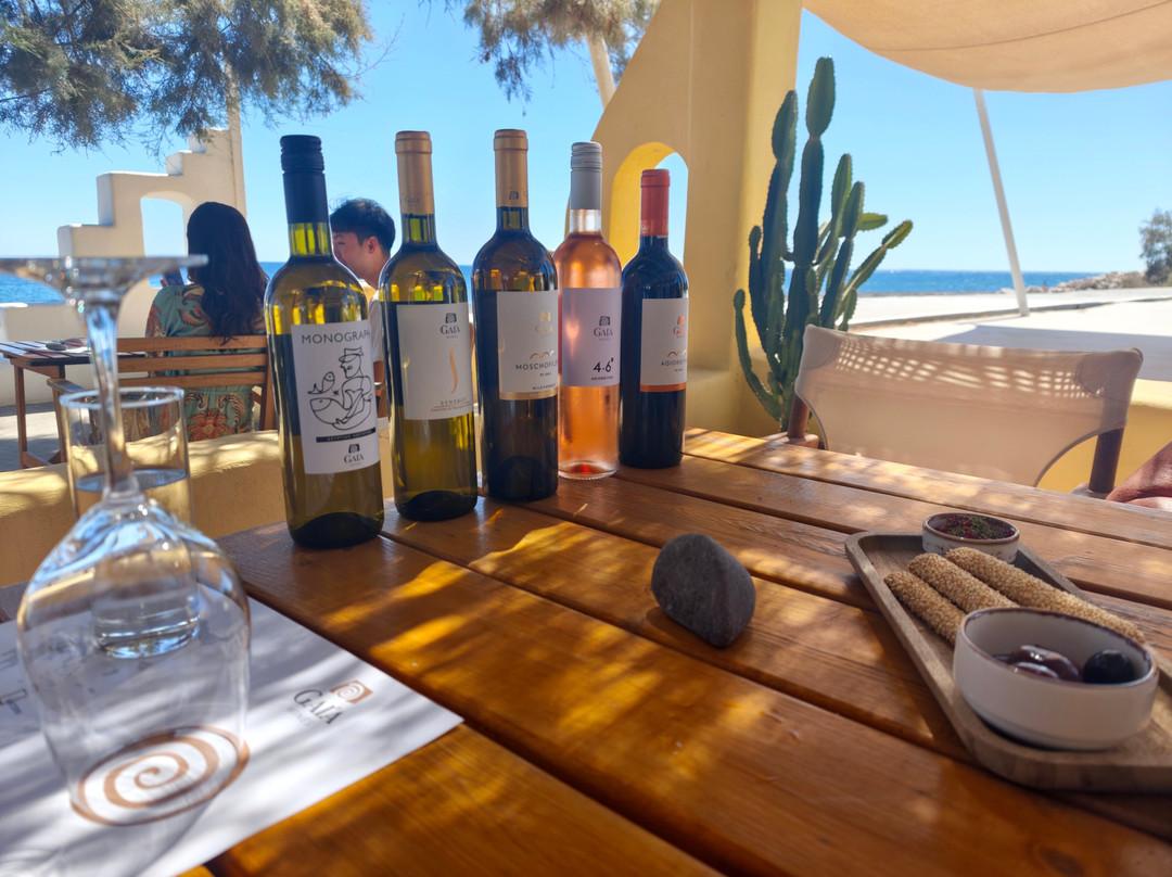 Gaia Winery-佩里沃罗必去景点