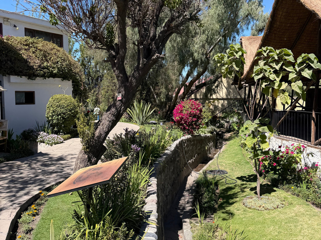 Mundo Alpaca Arequipa-阿雷基帕必去景点