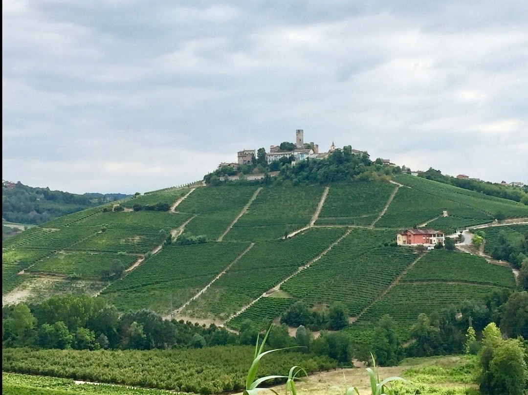 Meet Piemonte-Nizza Monferrato必去景点