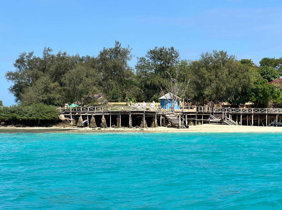 Prison Island - Changuu Private Island-石头城必去景点