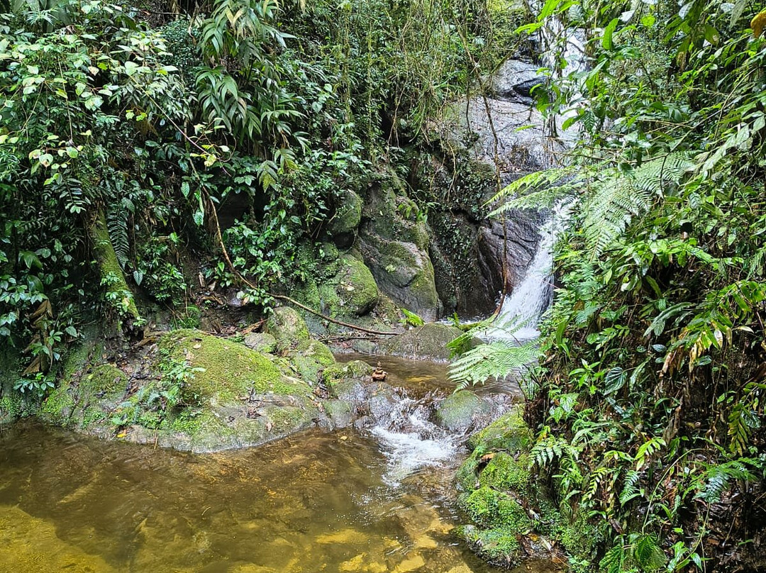 Sítio Cachoeiras do Alcantilado-Visconde de Maua必去景点