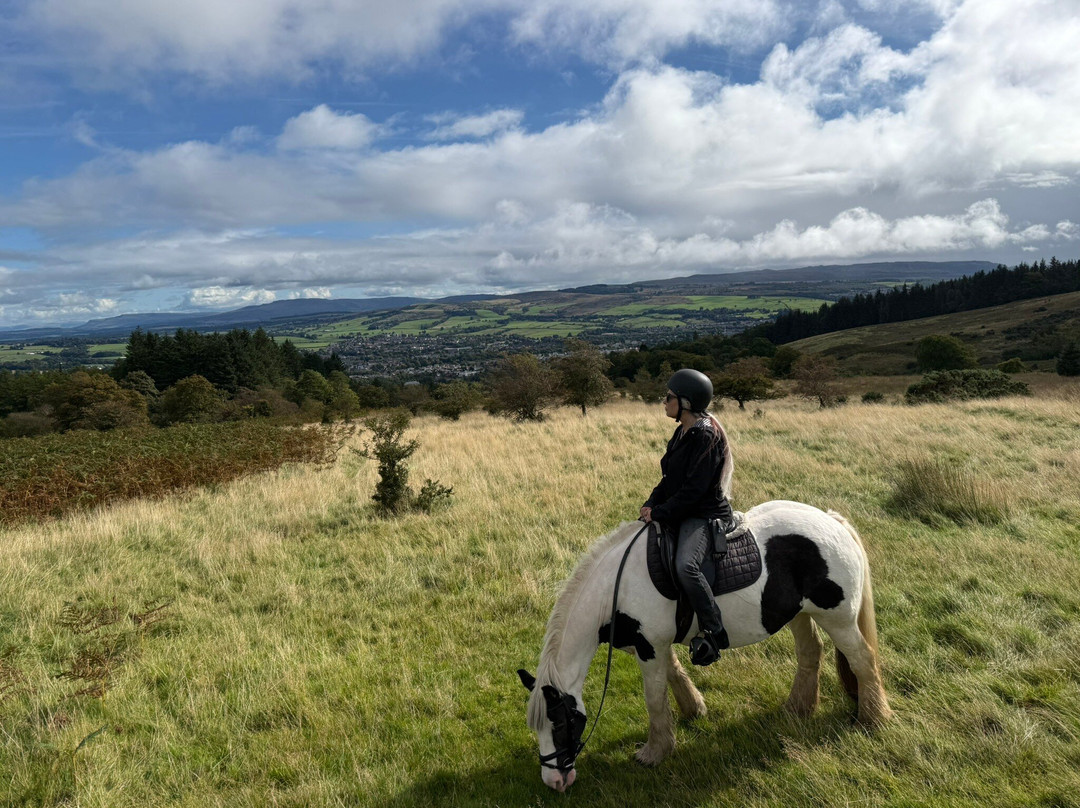 Loch Lomond Pony Trekking-Balloch必去景点