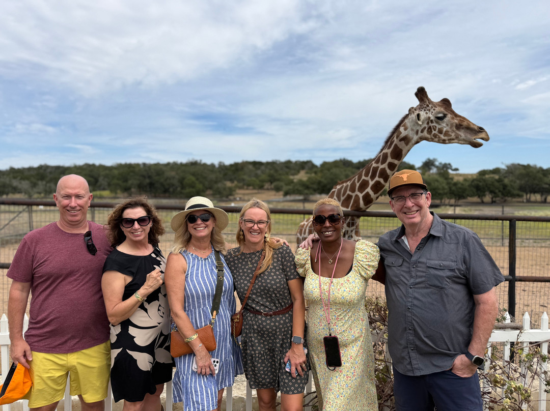 Giraffe Winery at Grapetown Vineyard-弗雷德里克斯堡必去景点