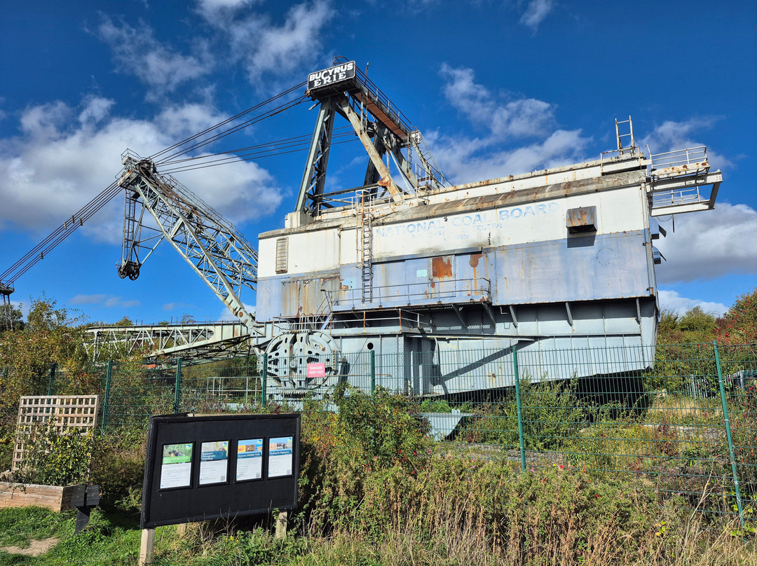 RSPB St Aidan's nature park-利兹必去景点