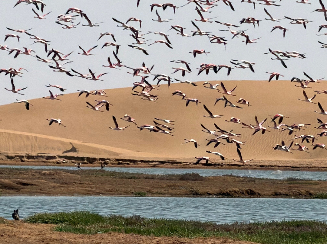 Namibia Tours & Safaris-斯瓦科普蒙德必去景点